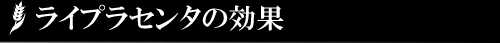 CvZ^̌