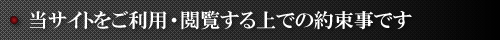 TCgpE{ł̖񑩎ł